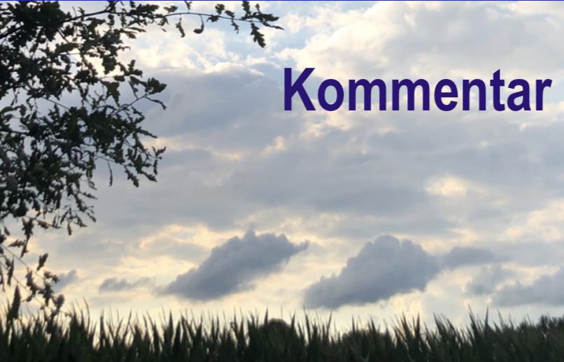 Image for article Chinas Missbrauch des Konzeptes „Das Gesetz bestraft nicht eine ganze Gruppe von Menschen“