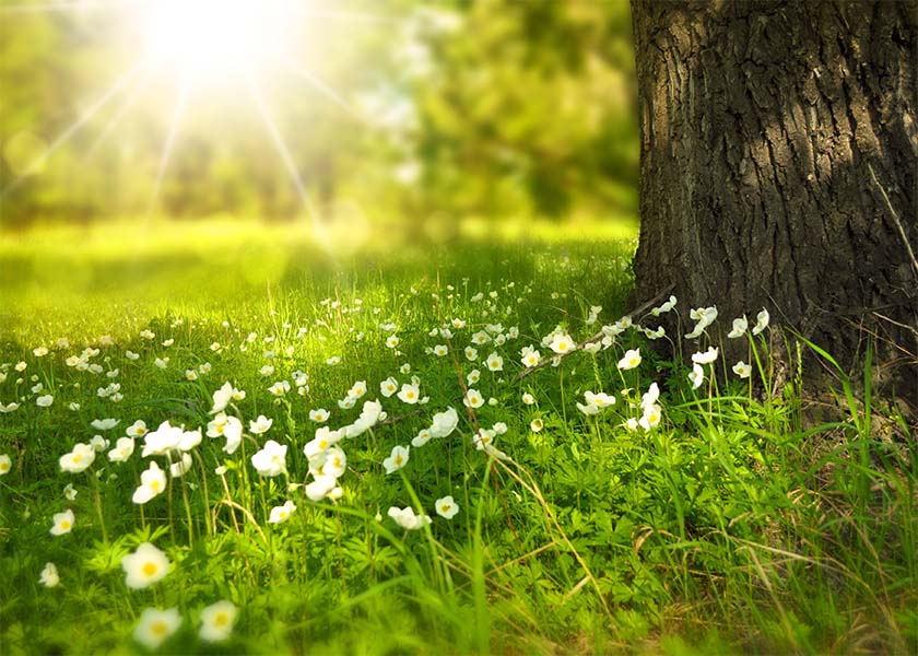 Image for article Die Geschichte einer neuen Falun Dafa-Praktizierenden