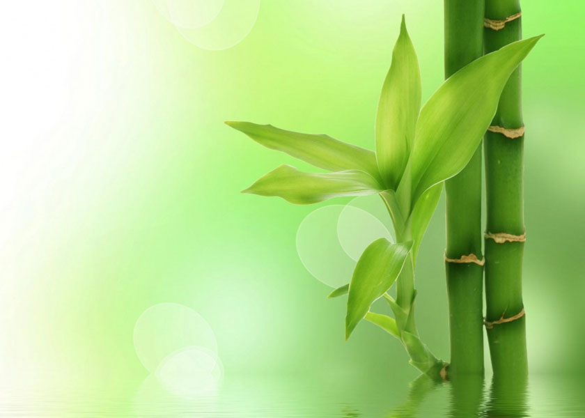 Image for article Falun Gong aus der Perspektive eines Wissenschaftlers - Teil II
