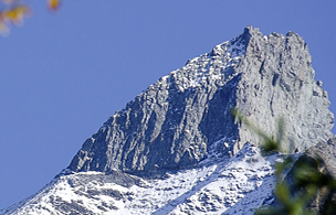 Image for article Spezialsammlung wertvoller Kultivierungserfahrungen