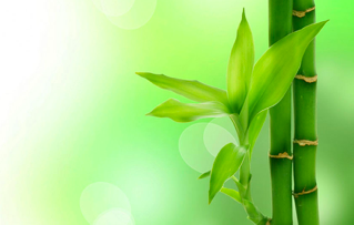 Image for article Wie lange wird die totalitäre Herrschaft der KP Chinas noch dauern?