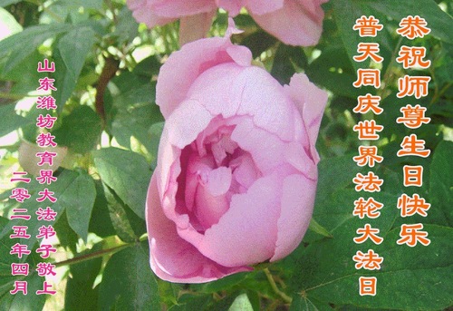 Image for article Grußkarten aus Chinas Bildungssystem (18 Grüße)