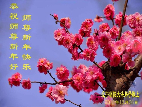 Falun-Dafa-Praktizierende in der Stadt Chaoyang, Provinz Liaoning, China, wünschen dem verehrten ...