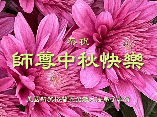 Image for article Mit Video - Falun-Dafa-Praktizierende von der Ostküste der USA danken dem verehrten Meister für die Lehre des Falun Dafa