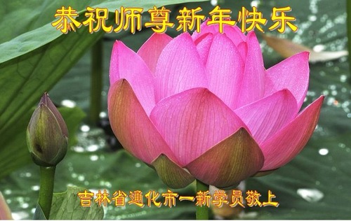 Image for article „Ich weiß, dass Falun Dafa gut ist!“ Neue Falun-Dafa-Praktizierende in China wünschen dem verehrten Meister ein frohes neues Jahr (19 Grüße)