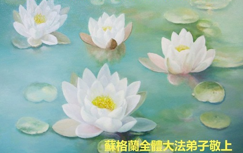 Image for article Falun-Dafa-Praktizierende in sieben Ländern Westeuropas feiern den Welt-Falun-Dafa-Tag und gratulieren dem verehrten Meister respektvoll zum Geburtstag