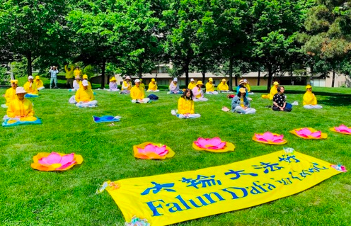 Image for article Kanada: Aufmerksamkeit für Falun Dafa beim Internationalen Drachenbootrennen in Toronto
