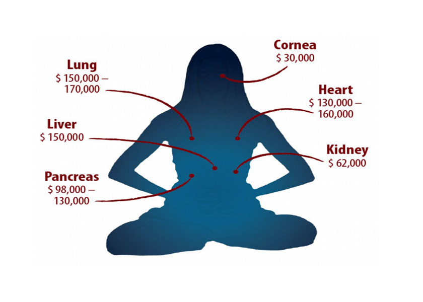 Image for article Minghui-Bericht: Falun-Gong-Praktizierende in China systematisch wegen ihrer Organe ermordet