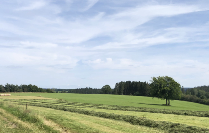 Image for article Minghui hilft mir, den Weg zu einer Gottheit weiterzugehen