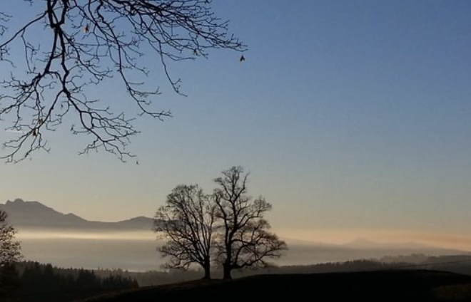 Image for article „Unser Schicksal soll euch eine Warnung sein“ – eine Lektion, die wir aus der Kulturrevolution nicht gelernt haben