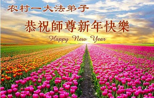 Image for article „Die Verbreitung des Dafa ist das Glück für alle Lebewesen“ – Grußbotschaften aus den ländlichen Gebieten an den verehrten Meister (63 Grüße)