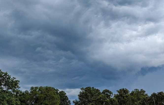 Image for article Eine weitere Ermahnung an die Praktizierenden in Vietnam