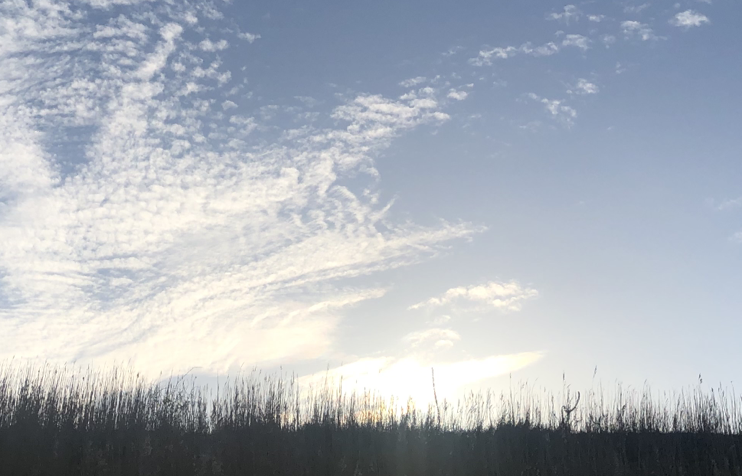 Image for article „The Age of Disclosure“ – Dokumentarfilm rückt Außerirdische ins öffentliche Bewusstsein