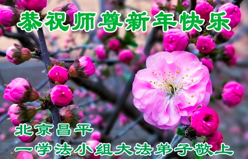 Image for article Grüße zum Neujahr 2026 aus Peking an den verehrten Meister (116 Grüße)