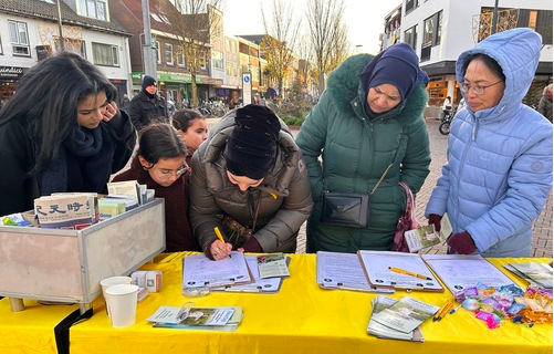 Image for article Unterstützung für Falun Dafa beim Informationstag in den Niederlanden