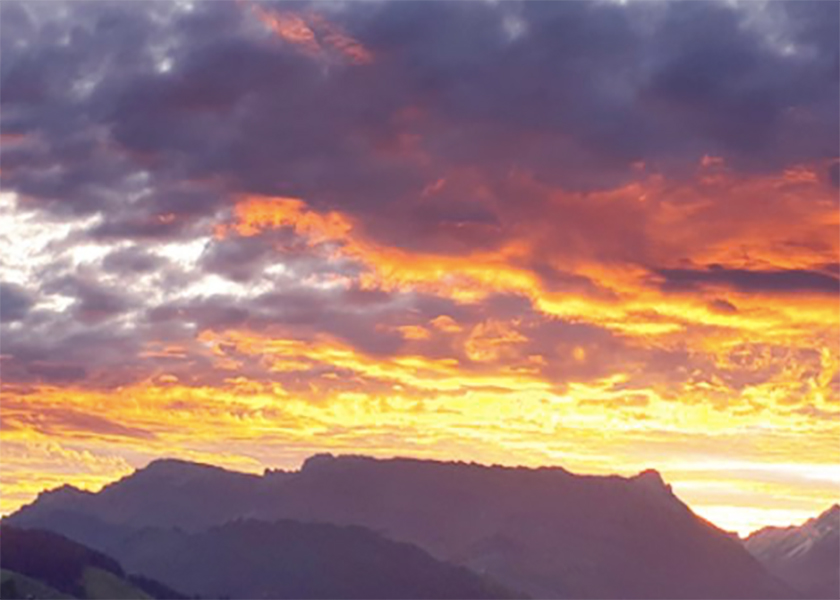 Image for article Woher kommt dieser Hass in China – von der Kulturrevolution bis zur Verfolgung von Falun Dafa?