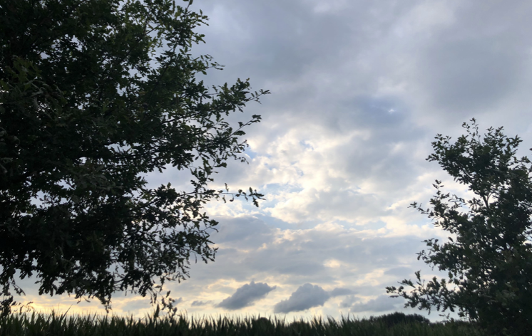 Image for article Fünf Gründe, warum wir die KP Chinas nicht tolerieren können