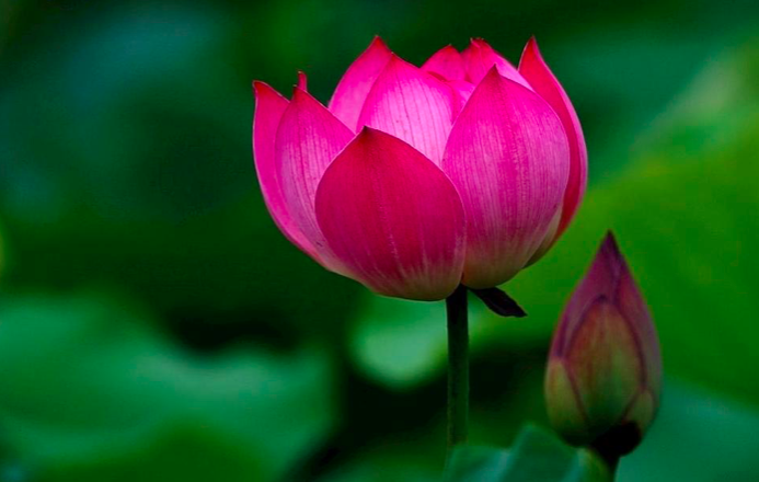 Image for article Warum es so wichtig ist, den Groll zu beseitigen – drei Geschichten