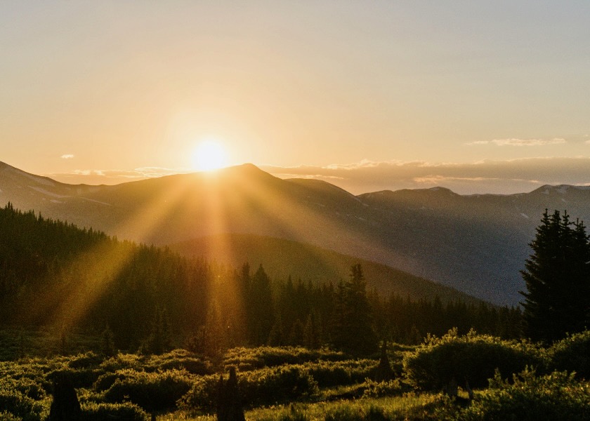 Image for article Wenn nichts mehr hilft, sollten wir auf unser Gewissen hören
