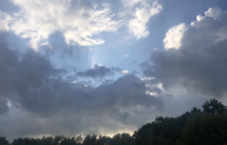 Image for article 63-Jährige seit Anfang 2025 vermisst