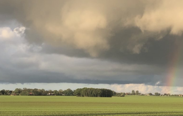 Image for article Gedanken zum Thema Lügen