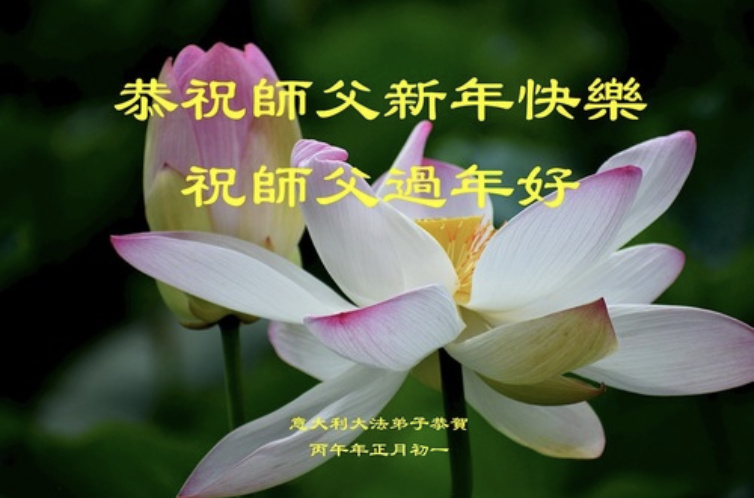 Image for article Falun-Dafa-Praktizierende in sieben südlichen Ländern Europas wünschen dem verehrten Meister ein frohes chinesisches neues Jahr (17 Grüße)