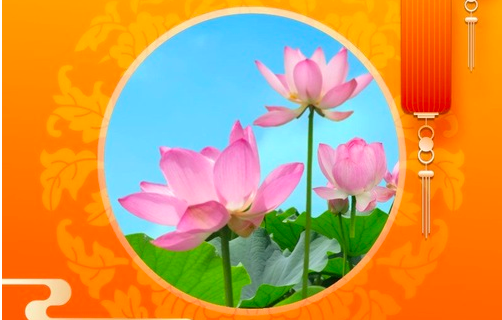 Image for article Gelübde einlösen: Ganze Familien kultivieren sich gemeinsam und gehen Hand in Hand durch Sturm und Regen