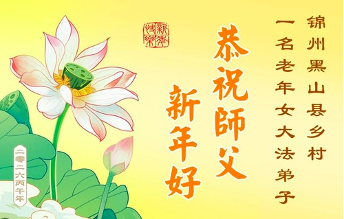 Image for article „Wir sind die glücklichsten Lebewesen“ – Betagte Falun-Dafa-Praktizierende in China danken dem Meister