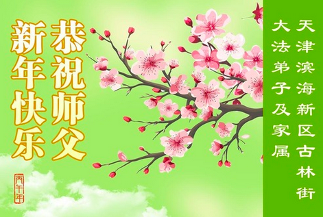 Image for article Neujahrsgrüße von neuen Praktizierenden aus China an den verehrten Meister (19 Grüße)