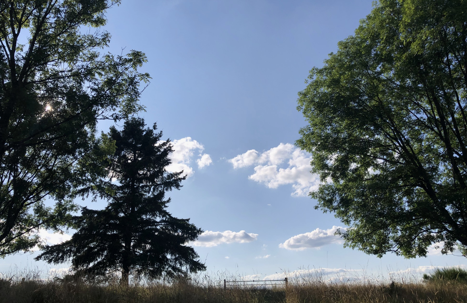 Image for article Bei den Kontroversen auf der RTC-Plattform die Gelegenheit nutzen, nach innen zu schauen