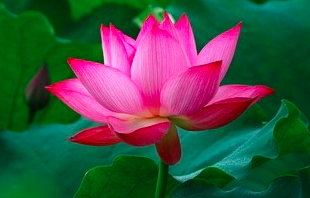 Image for article So mächtig sind aufrichtige Gedanken