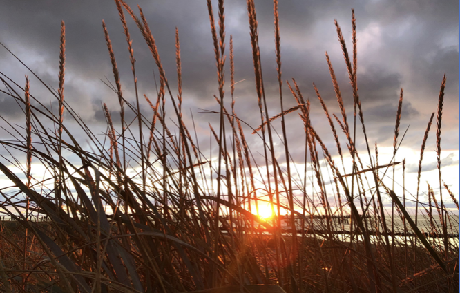 Image for article Wahrsagen in der modernen Gesellschaft: Ein Strohhalm, an den man sich klammert, oder ein Neuanfang?