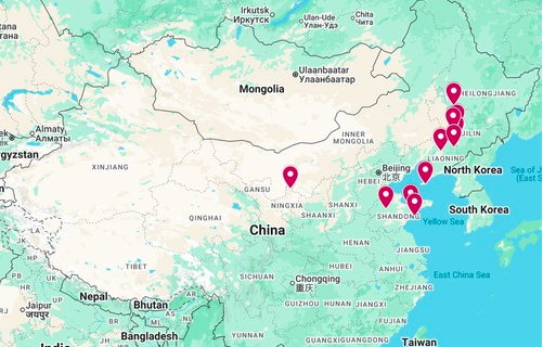 Image for article Zusätzliche Nachrichten über die Verfolgung in China – 29. Januar 2026 (11 Berichte)