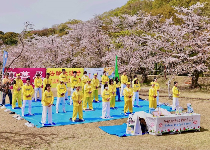 Image for article Begegnungen unter japanischen Kirschblüten: Falun Dafa inspiriert Besucher in Toyota