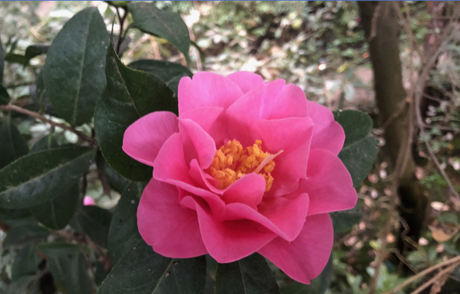 Image for article Über zehn Jahre lang quälende Nebenwirkungen einer Lebererkrankung verschwinden