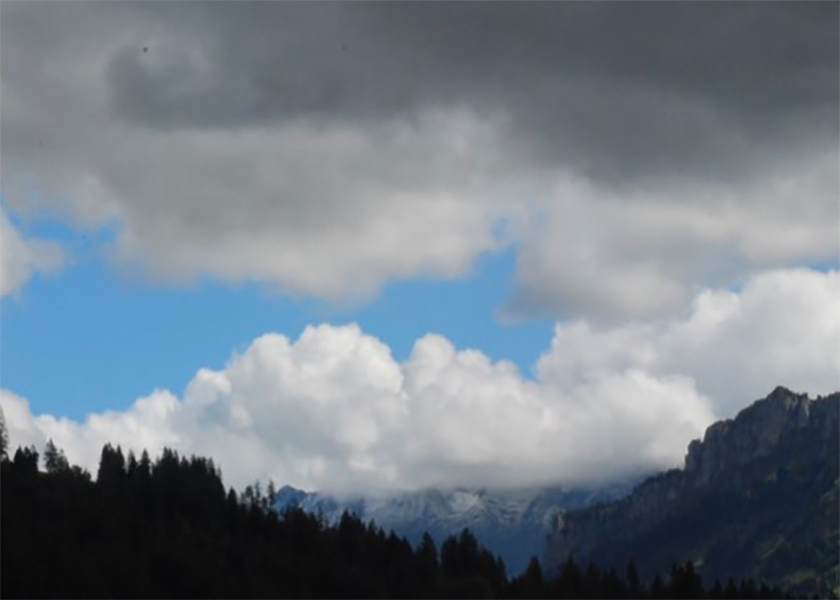 Image for article Der Preis des Schweigens