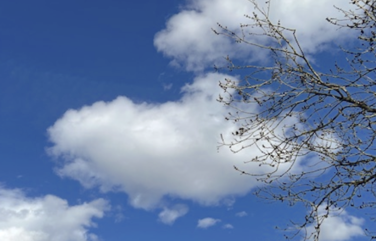 Image for article Sich bewusst sein, wie künstliche Intelligenz funktioniert