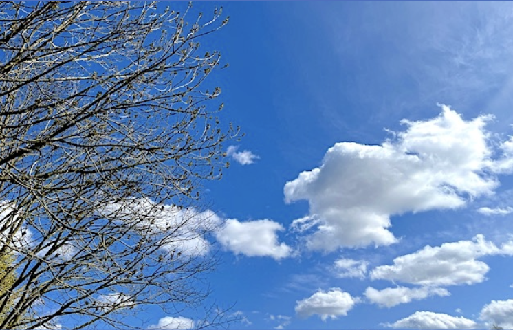 Image for article Es gilt, auch inmitten von Leid gütig zu bleiben