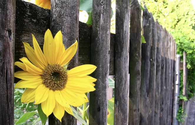 Image for article Bitte nehmt das Schreiben von Berichten zum Gedenken an den Welt-Falun-Dafa-Tag ernst