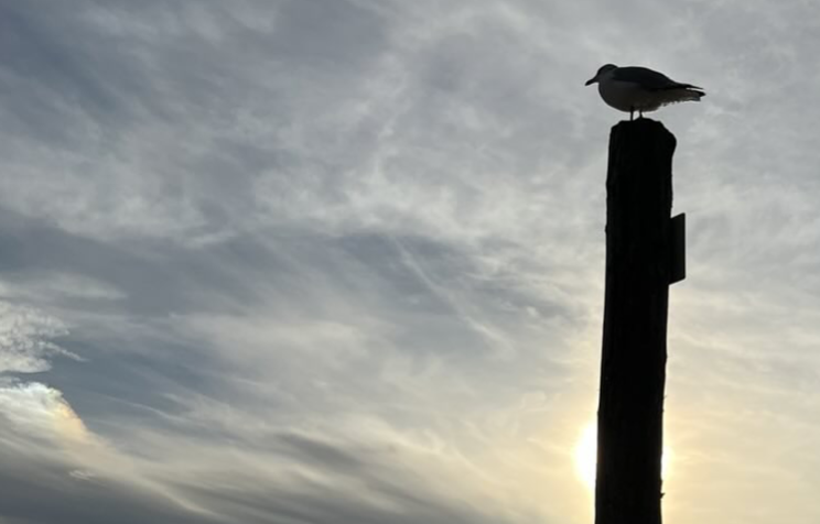 Image for article Die Entscheidung zwischen Gut und Böse – betrachtet am biblischen Gleichnis vom „barmherzigen Samariter“