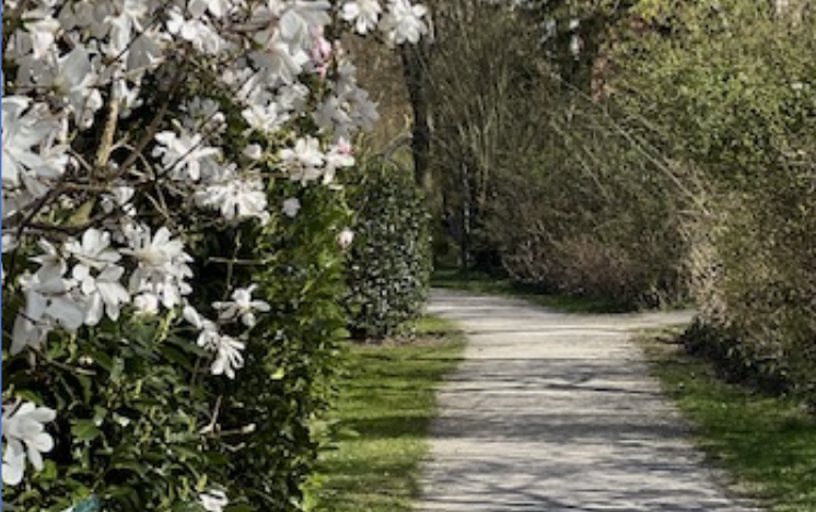 Image for article Der Kultivierungsweg einer israelischen Falun-Dafa-Praktizierenden