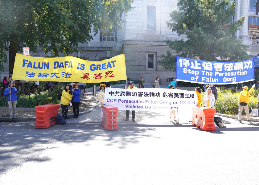 Image for article Angreiferin bei friedlichen Protesten in Washington, D.C. festgenommen